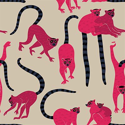 Pink lemurs