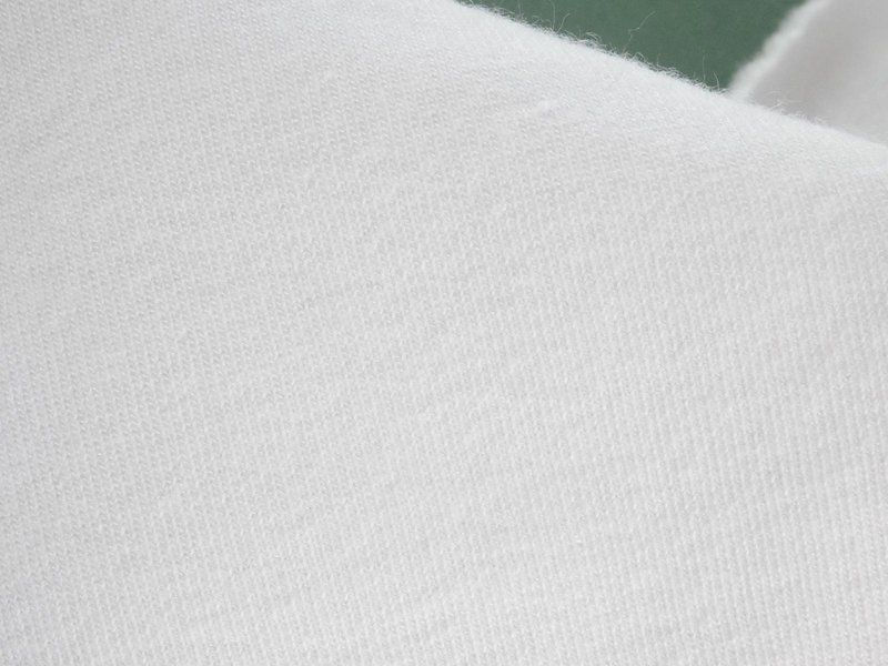 Fleece Jersey 300gsm main image